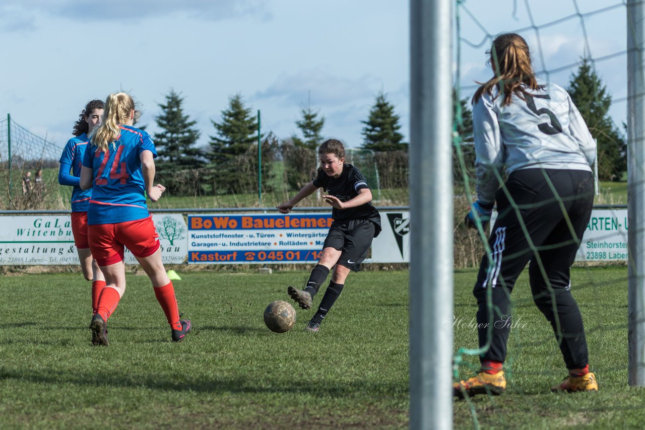 Bild 206 - C-Juniorinnen SV Steinhorst/Labenz - TSV Friedrichsberg-Busdorf : Ergebnis: 5:0